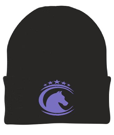 H001 CP90 Port & Company Knit Cap