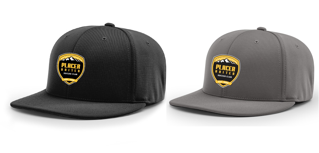 Hat- Flex Fit PTS20- Embroidered Crest