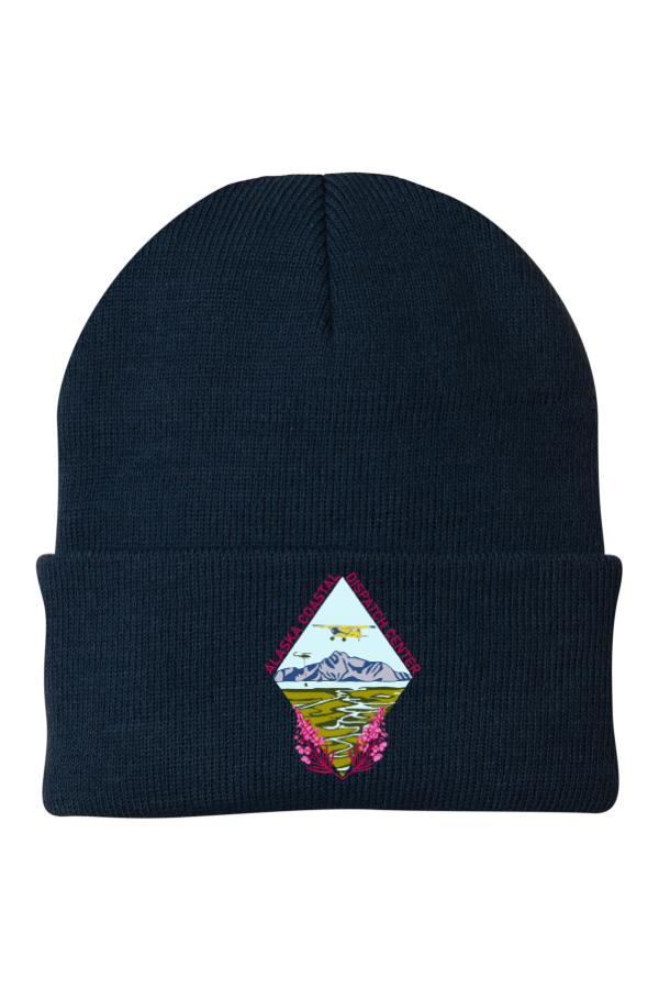 Knit Cap (CP90)