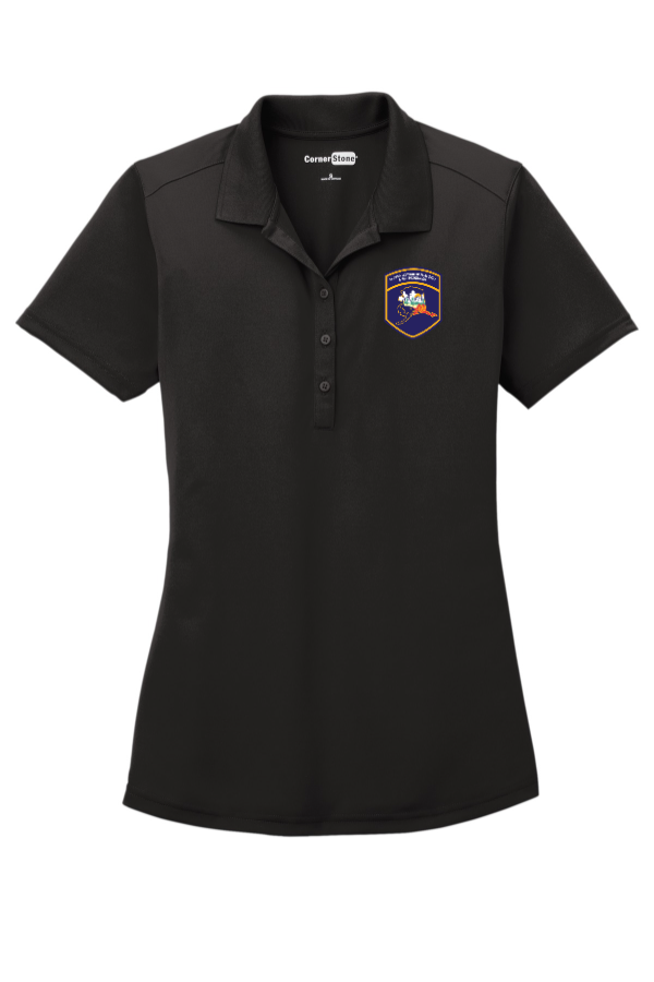 Ladies Polo (CS419)