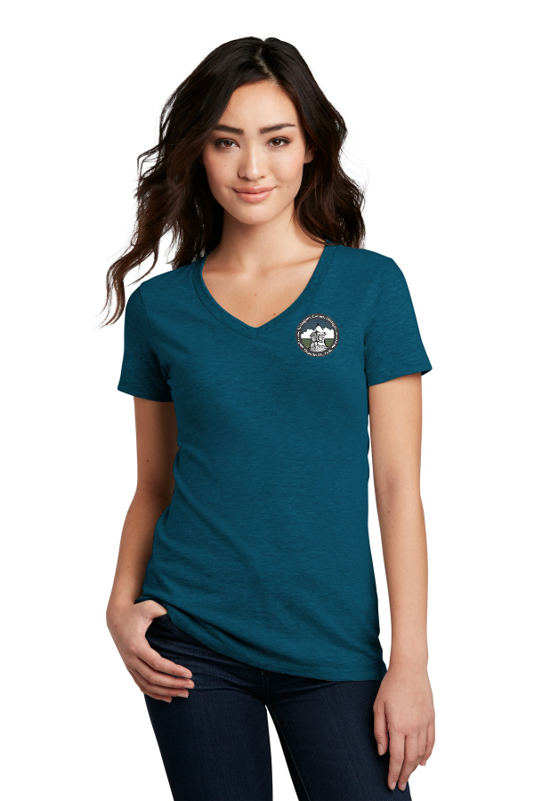 Ladies Perfect Blend V-Neck Tee - Printed Logo -DM1190L